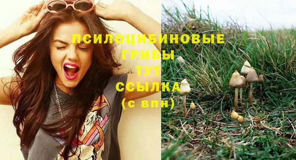 МДПВ Корсаков